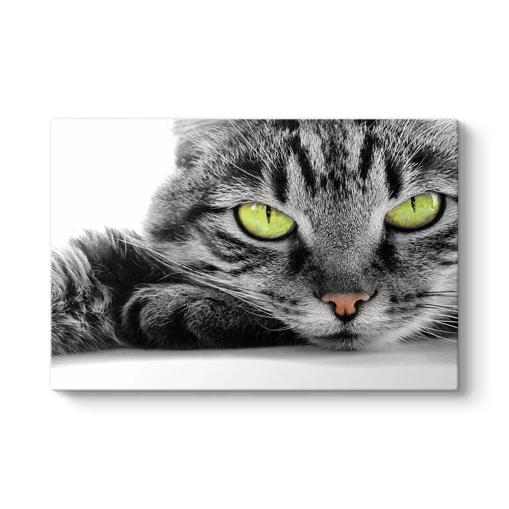 Sarı Gözlü Kedi Tablosu - Model 1